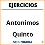 Ejercicios De Antonimos Para Quinto De Secundaria