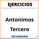 Ejercicios De Antonimos Para Tercero De Secundaria